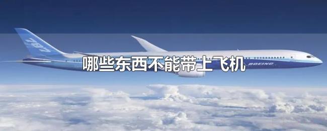 哪些东西不能带上飞机 哪些东西不能带上飞机
