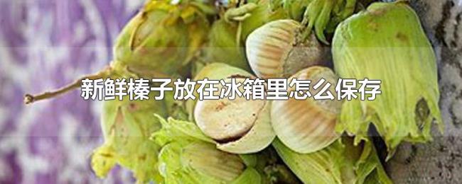 新鲜榛子放在冰箱里怎么保存 新鲜榛子放在冰箱里怎么保存