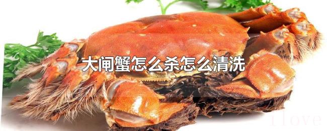 大闸蟹怎么杀怎么清洗 大闸蟹怎么杀怎么清洗