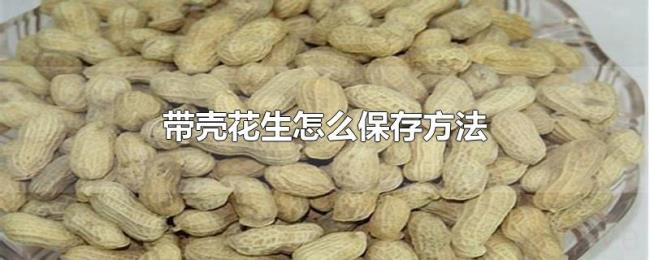 带壳花生怎么保存方法 带壳花生怎么保存方法