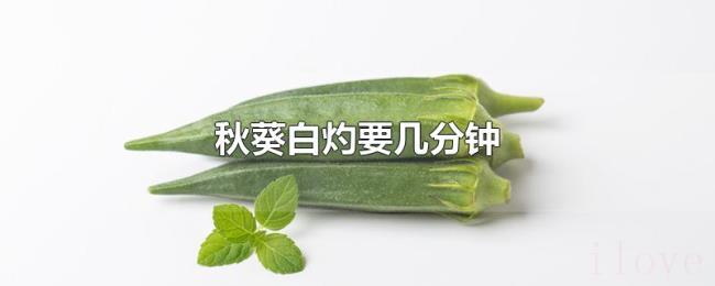 秋葵白灼要几分钟 秋葵白灼要几分钟