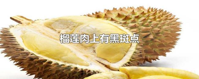 榴莲肉上有黑斑点 榴莲肉上有黑斑点