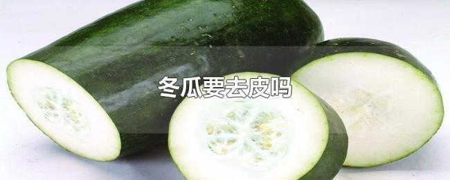 冬瓜要去皮吗 冬瓜要去皮吗