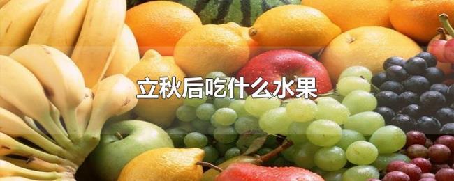 立秋后吃什么水果