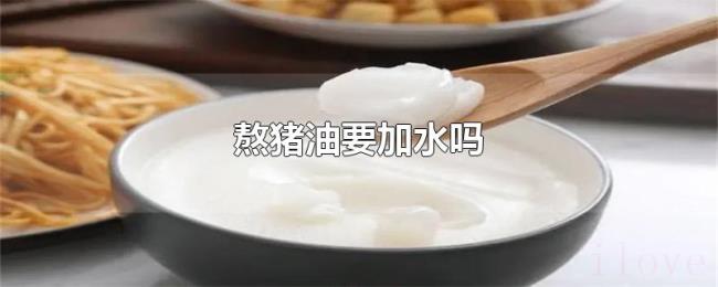 熬猪油要加水吗