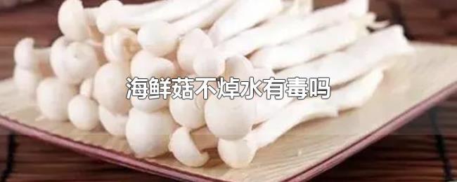 海鲜菇不焯水有毒吗 海鲜菇不焯水有毒吗