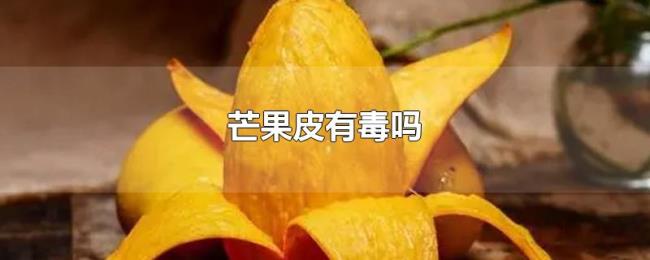 芒果皮有毒吗