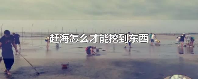 赶海怎么才能挖到东西 赶海怎么才能挖到东西