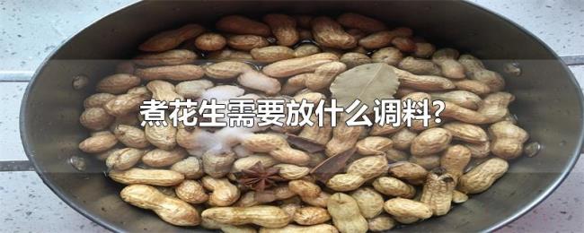 煮花生需要放什么调料? 煮花生需要放什么调料?