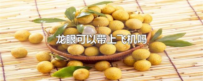 龙眼可以带上飞机吗 龙眼可以带上飞机吗