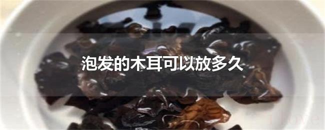 泡发的木耳可以放多久