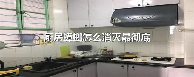 厨房蟑螂怎么消灭最彻底 厨房蟑螂怎么消灭最彻底