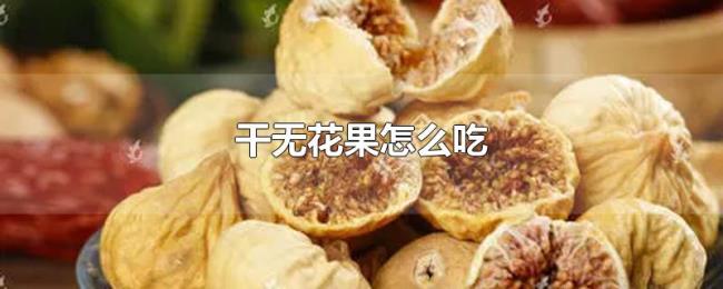 干无花果怎么吃 干无花果怎么吃