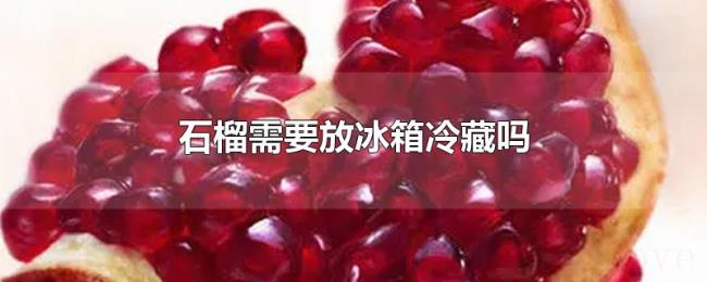 石榴需要放冰箱冷藏吗 石榴需要放冰箱冷藏吗