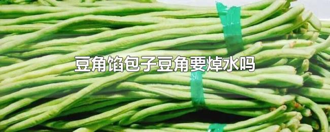 豆角馅包子豆角要焯水吗 豆角馅包子豆角要焯水吗