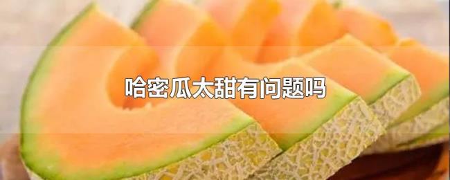 哈密瓜太甜有问题吗 哈密瓜太甜有问题吗