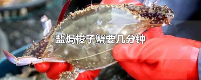 盐焗梭子蟹要几分钟