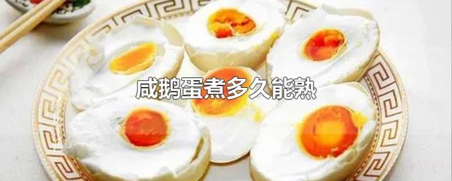 咸鹅蛋煮多久能熟