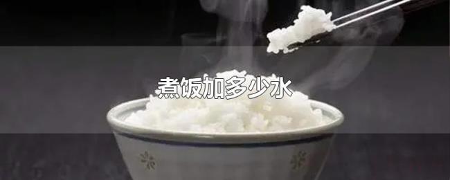 煮饭加多少水 煮饭加多少水