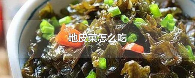 地皮菜怎么吃 地皮菜怎么吃