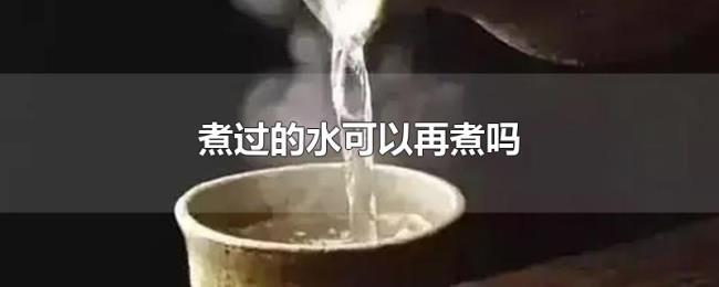 煮过的水可以再煮吗
