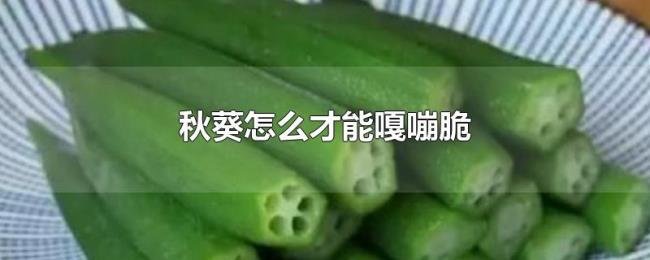 秋葵怎么才能嘎嘣脆 秋葵怎么才能嘎嘣脆