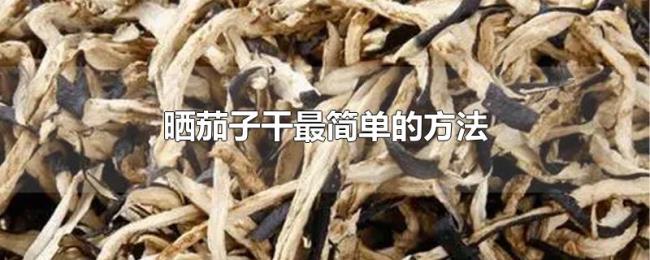 晒茄子干最简单的方法