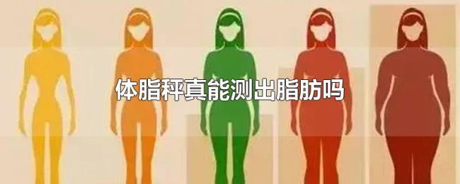 体脂秤真能测出脂肪吗