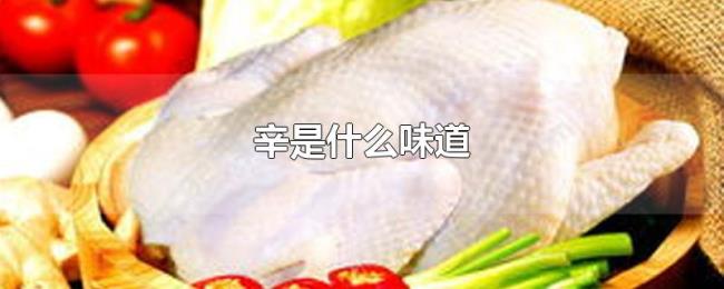 辛是什么味道 辛是什么味道