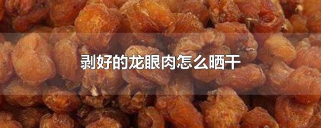 剥好的龙眼肉怎么晒干