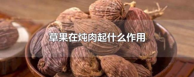 草果在炖肉起什么作用