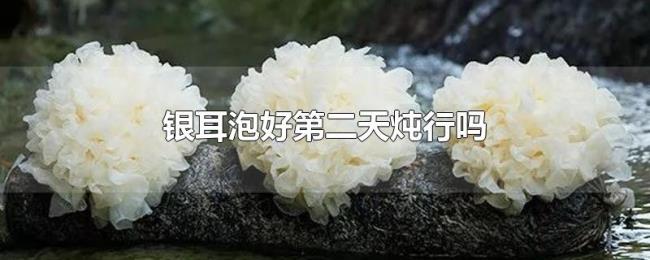 银耳泡好第二天炖行吗