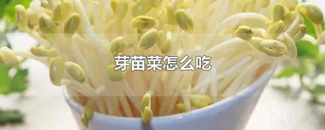 芽苗菜怎么吃 芽苗菜怎么吃