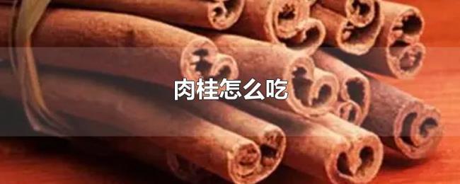 肉桂怎么吃