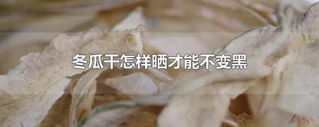 冬瓜干怎样晒才能不变黑 冬瓜干怎样晒才能不变黑
