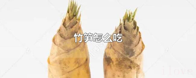 竹笋怎么吃 竹笋怎么吃