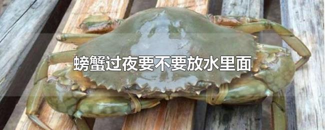 螃蟹过夜要不要放水里面 螃蟹过夜要不要放水里面