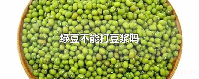绿豆不能打豆浆吗