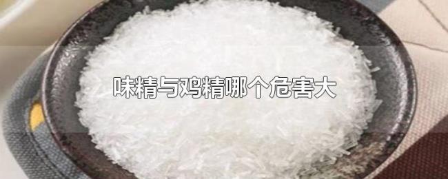 味精与鸡精哪个危害大