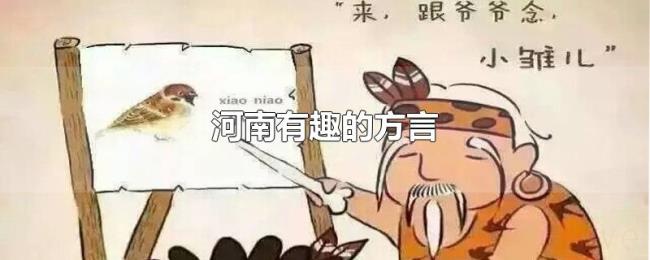 河南有趣的方言