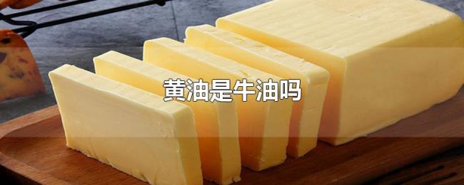 黄油是牛油吗
