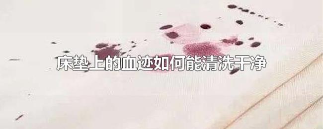 床垫上的血迹如何能清洗干净