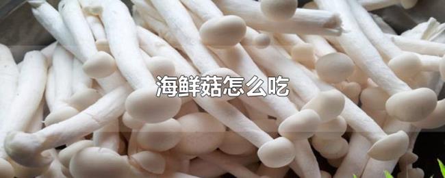 海鲜菇怎么吃 海鲜菇怎么吃