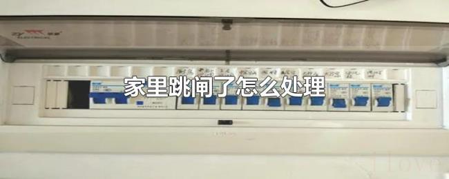 家里跳闸了怎么处理 家里跳闸了怎么处理