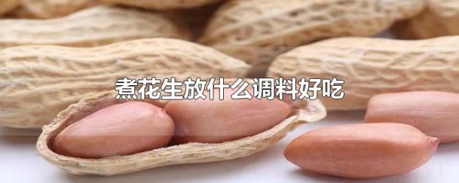 煮花生放什么调料好吃 煮花生放什么调料好吃