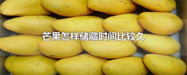 芒果怎样储藏时间比较久 芒果怎样储藏时间比较久