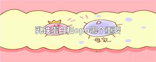 乳铁蛋白和opo哪个重要