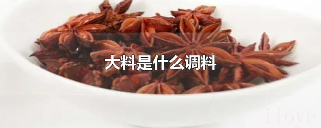 大料是什么调料 大料是什么调料