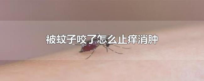 被蚊子咬了怎么止痒消肿 被蚊子咬了怎么止痒消肿