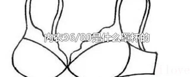 内衣36/80是什么罩杯的 内衣36/80是什么罩杯的